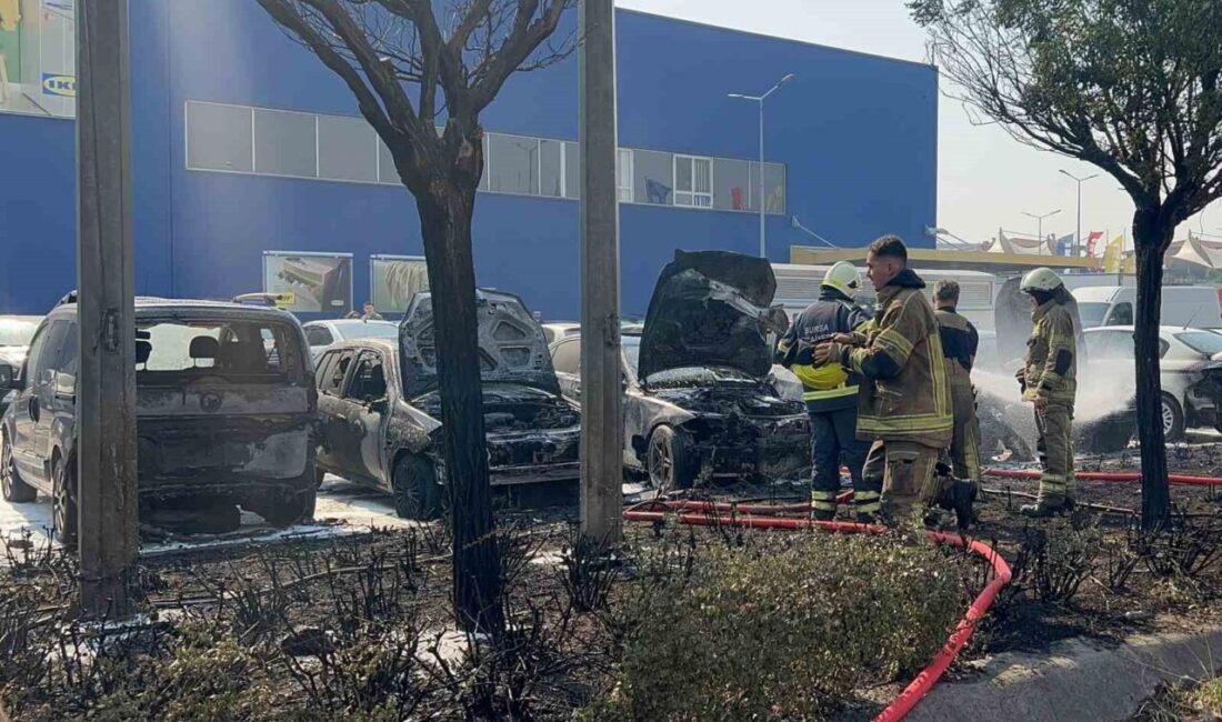 Bursa'daki Anatolium AVM'nin dış otoparkında çıkan yangın, otluk alanda başladığı