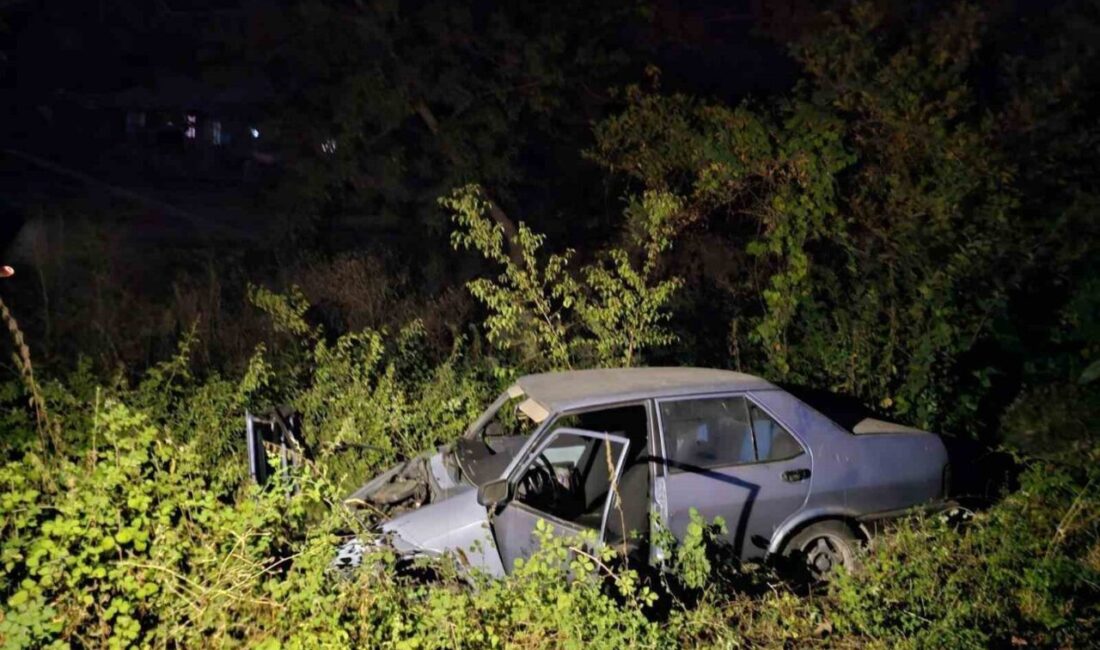 İnegöl'de meydana gelen kazada İrem M. (24) kontrolündeki otomobili şarampole