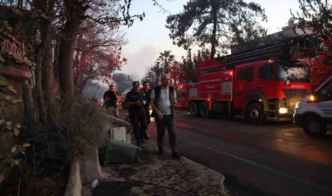 Çanakkale'nin Kepez beldesinde tarım arazisinde başlayan yangın, rüzgarın etkisiyle ormanlık