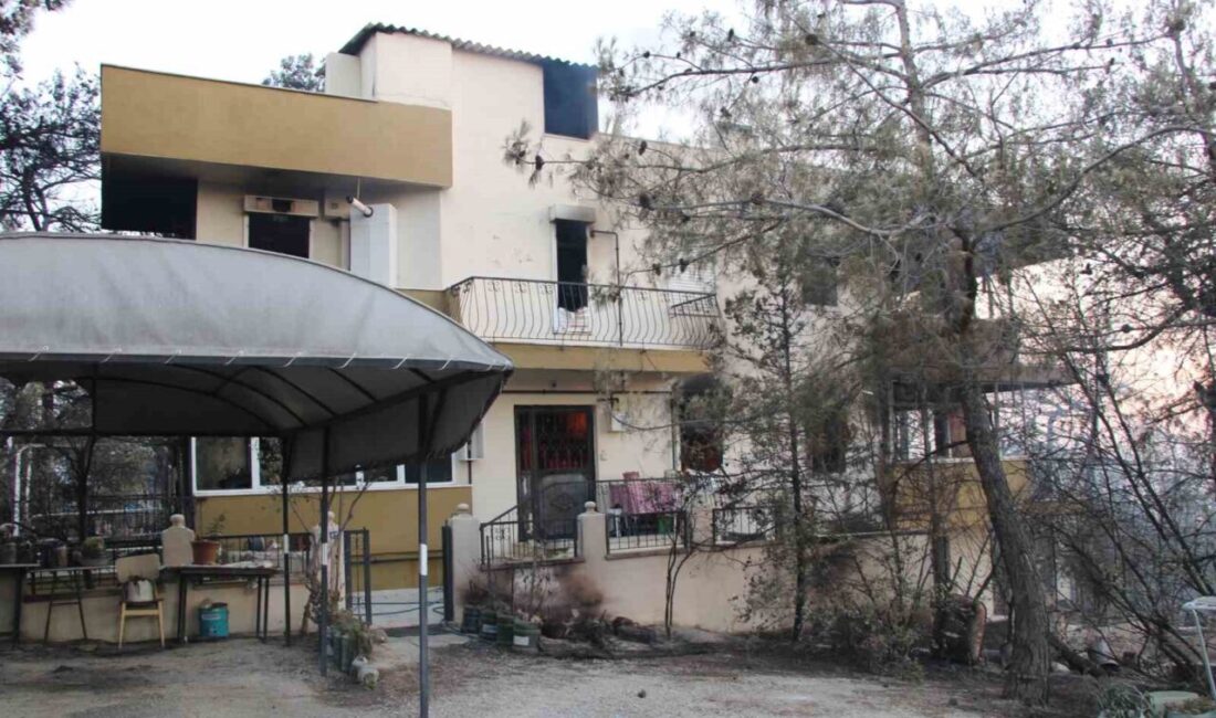 Çanakkale'nin Kepez beldesinde başlayan yangın, tarım arazisinden ormanlık alana sıçradı.