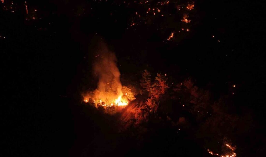 Çanakkale'nin Bayramiç ilçesindeki orman yangını, ekiplerin yoğun çabalarıyla kontrol altına