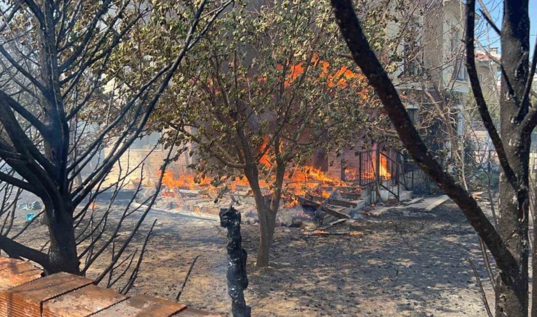 Çanakkale'nin Kepez beldesinde sabah saatlerinde başlayan orman yangını, rüzgarın etkisiyle