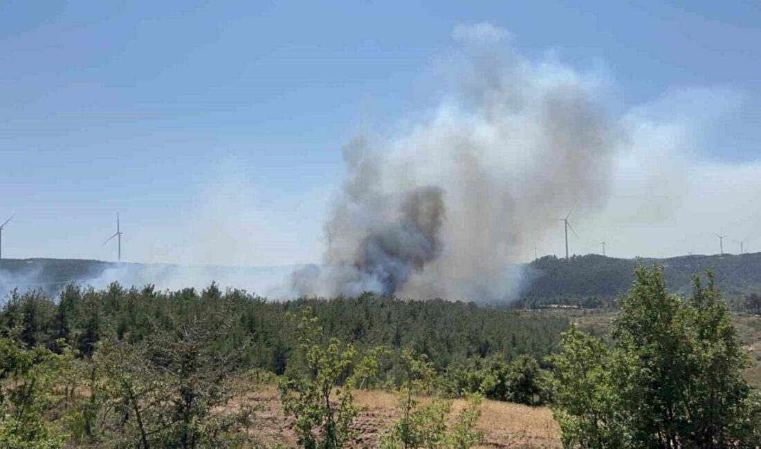 Çanakkale Merkez ilçesindeki Denizgöründü köyünde saat 13.30'da başlayan orman yangını,