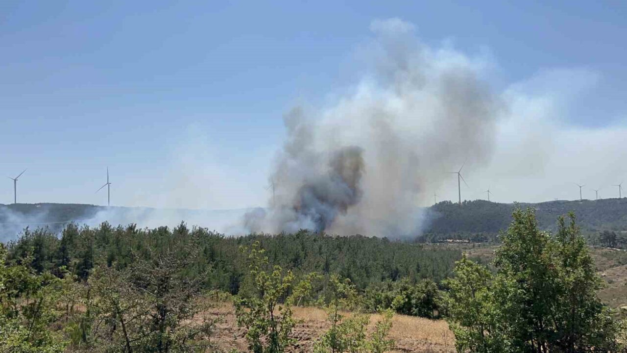 Çanakkale Merkez ilçesindeki Denizgöründü köyünde saat 13.30'da başlayan orman yangını,