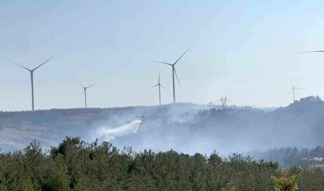 Çanakkale'nin Denizgöründü köyü yakınlarında çıkan orman yangınına Orman Bölge Müdürlüğü