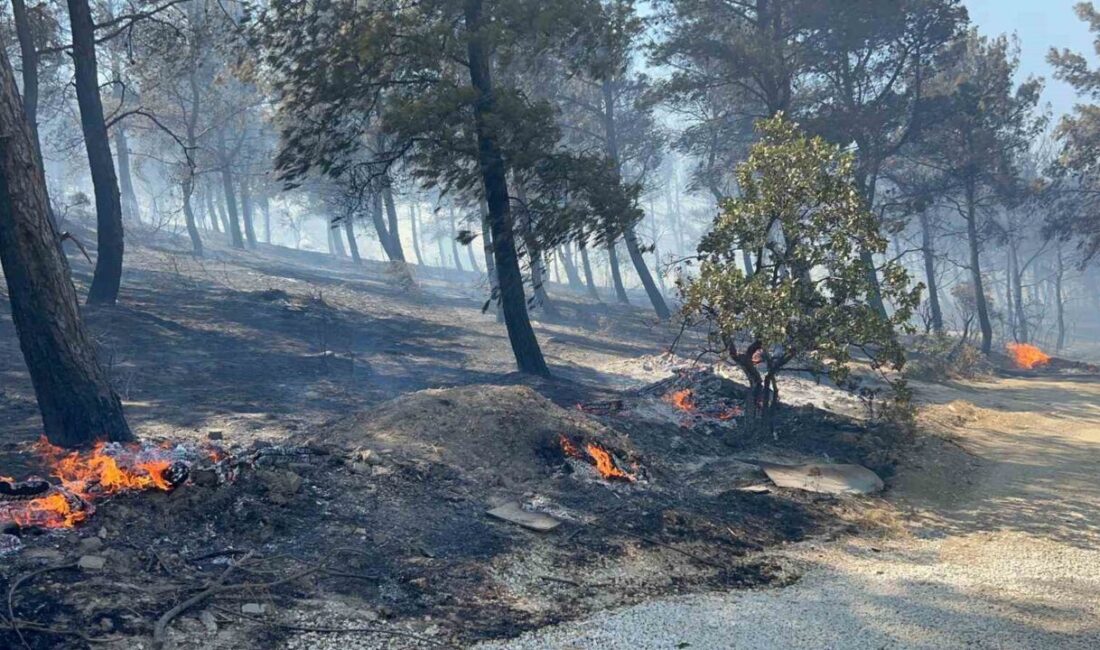 Çanakkale'nin Kepez beldesinde başlayan yangın, rüzgarın etkisiyle ormanlık alana yayıldı