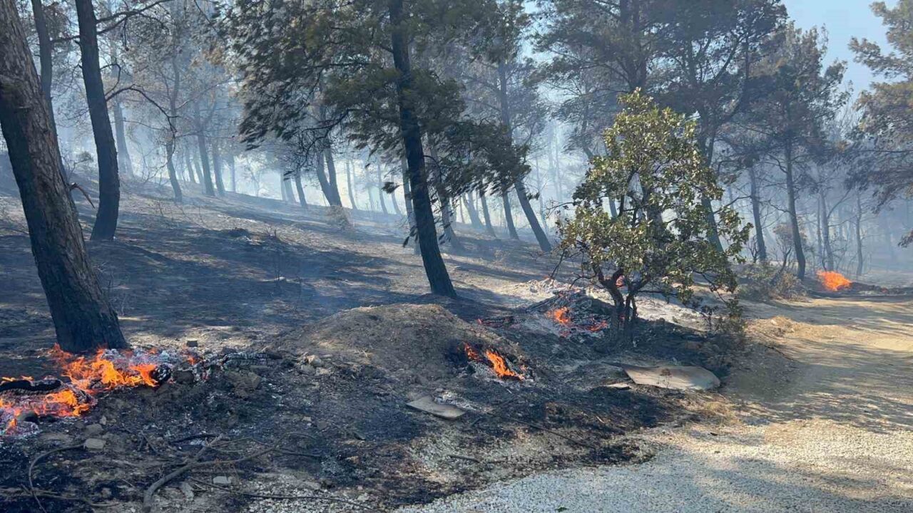 Çanakkale'nin Kepez beldesinde başlayan yangın, rüzgarın etkisiyle ormanlık alana yayıldı