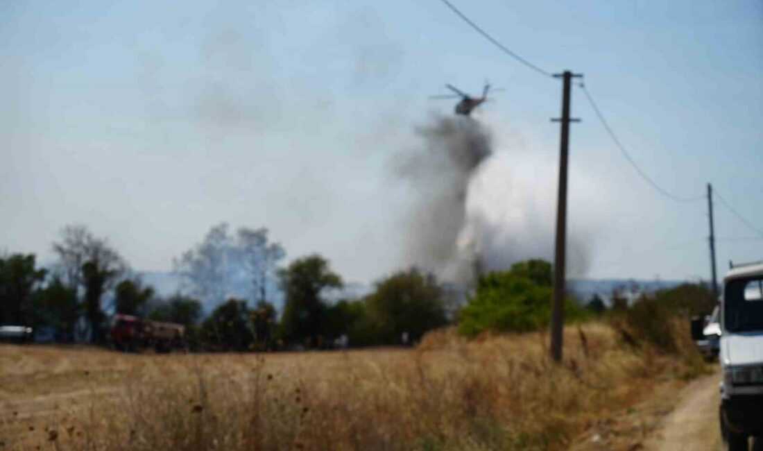 Çanakkale'nin Merkez ilçesindeki Kalabaklı köyü yakınlarında bir tarım arazisinde çıkan