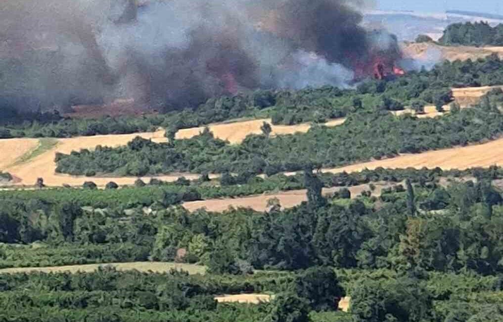 Çanakkale'nin Lapseki ilçesi Umurbey mevkii Gökköy köyünde tarım arazisinde çıkan