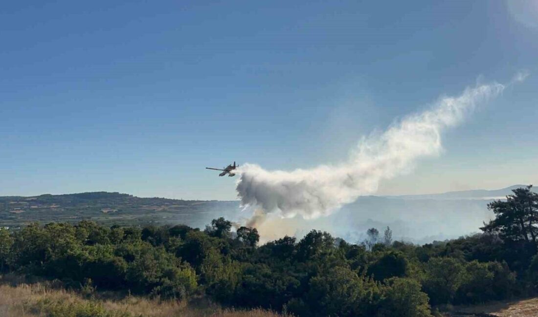 Çanakkale'nin Lapseki ilçesindeki yangın, tarım arazisinde başlayarak ormana sıçradı. Orman