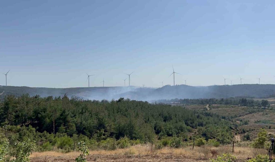 Çanakkale'nin Denizgöründü köyü yakınlarında çıkan orman yangını, Orman Bölge Müdürlüğü