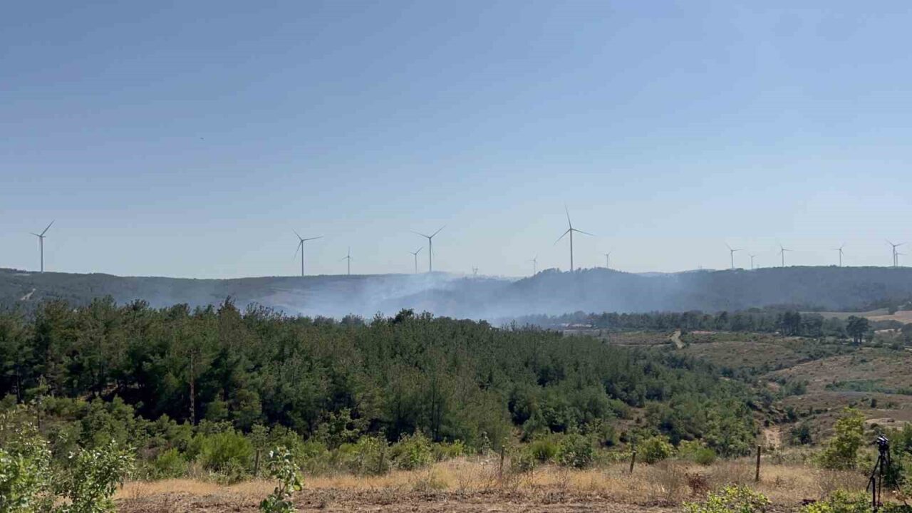 Çanakkale'nin Denizgöründü köyü yakınlarında çıkan orman yangını, Orman Bölge Müdürlüğü