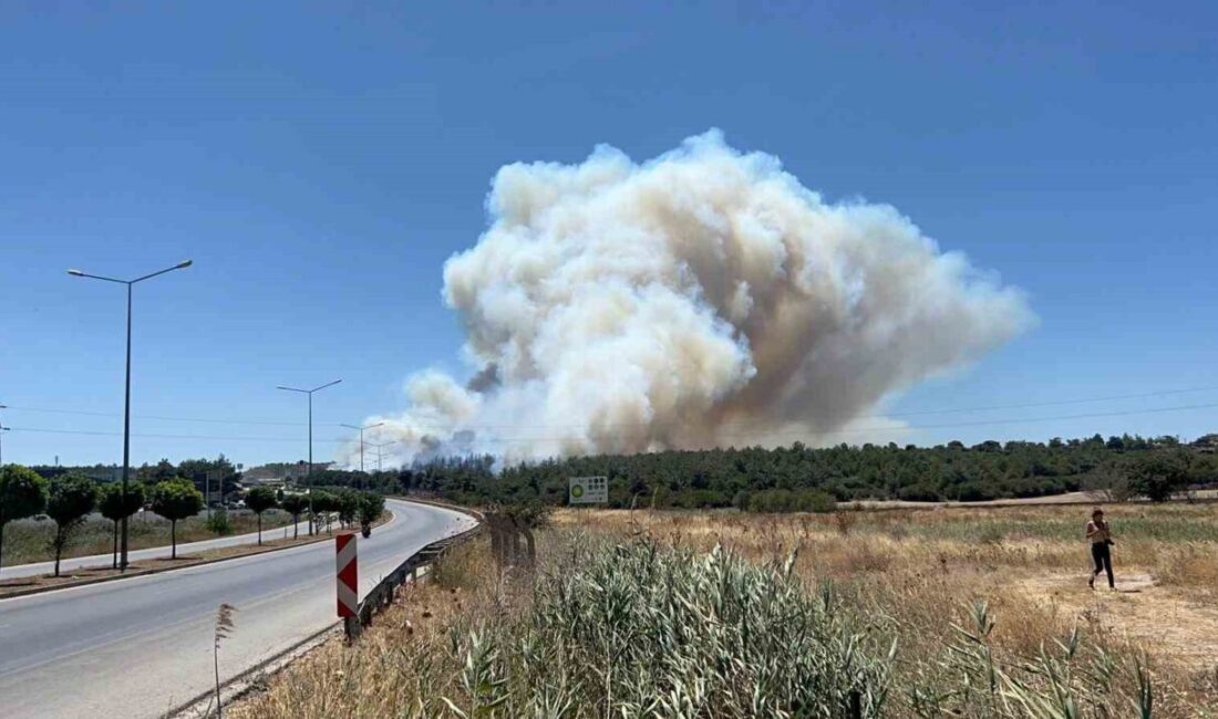 Çanakkale'nin Kepez beldesinde tarım arazisinde başlayan yangın, ormanlık alanı tehdit