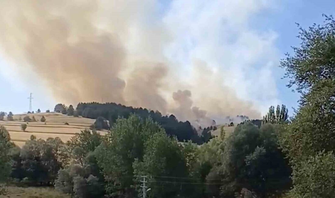 Çankırı'nın Atkaracalar ilçesinde, Hüyük köyü yakınlarında çıkan orman yangınına müdahale