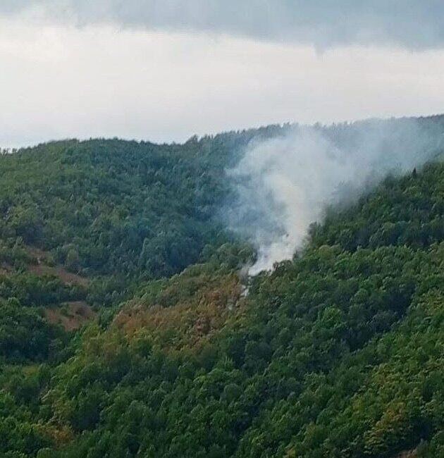 Kastamonu'nun Çatalzeytin ilçesinde Güneşler köyü Bekirler Mahallesi'nde çıkan orman yangını,