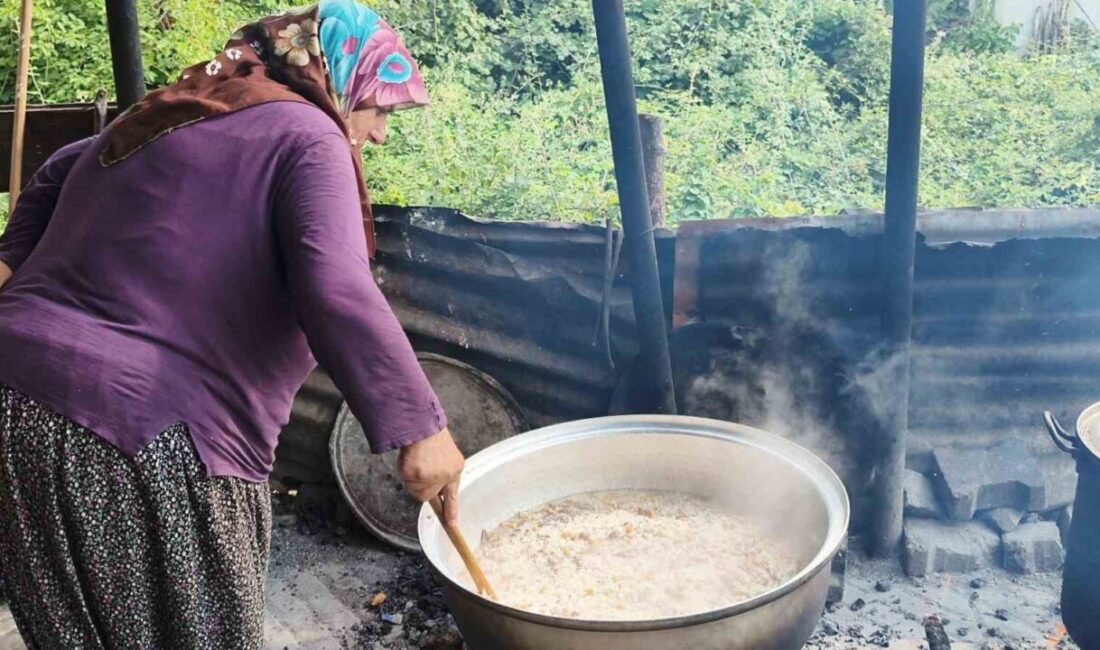 Düzce'nin Konuralp bölgesinde yetişen ve Osmanlı dönemine uzanan geçmişe sahip