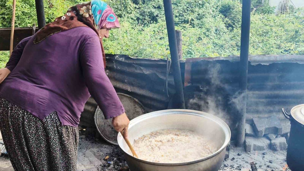Düzce'nin Konuralp bölgesinde yetişen ve Osmanlı dönemine uzanan geçmişe sahip