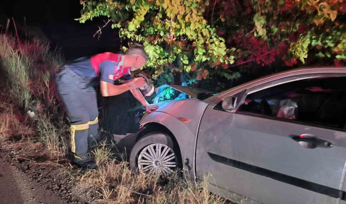 Çorum'un Sungurlu ilçesinde, Ö.K. yönetimindeki otomobil kontrolden çıkarak ağaca çarptı.