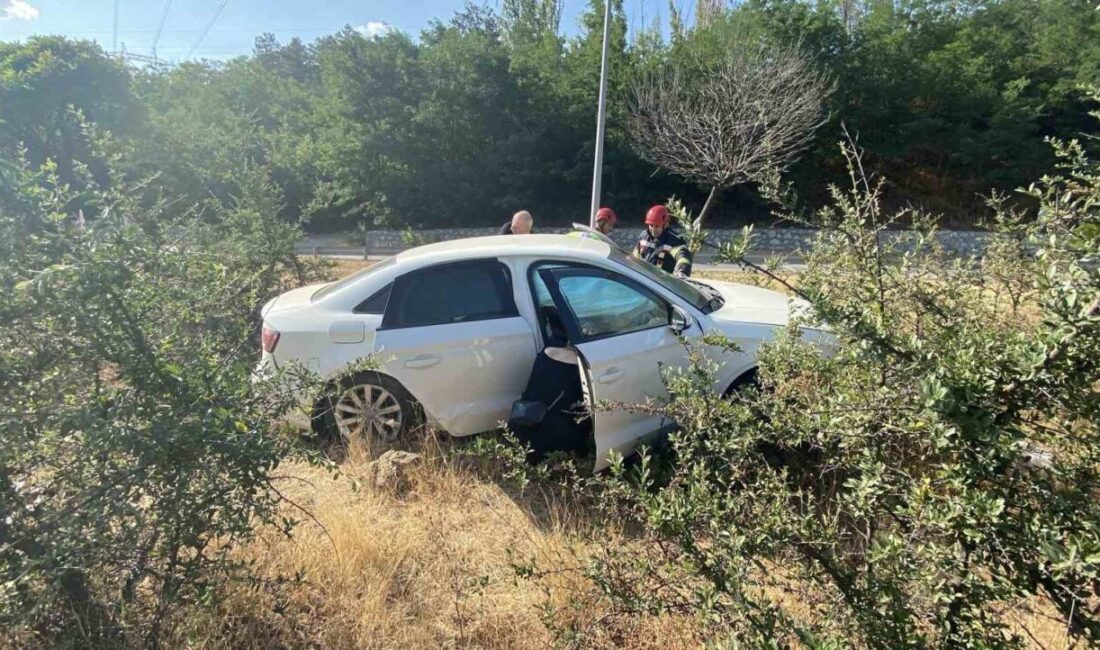 Çorum-Samsun karayolunda Fethi Ç.'nin kullandığı Audi, direksiyon hakimiyetini kaybederek bordür