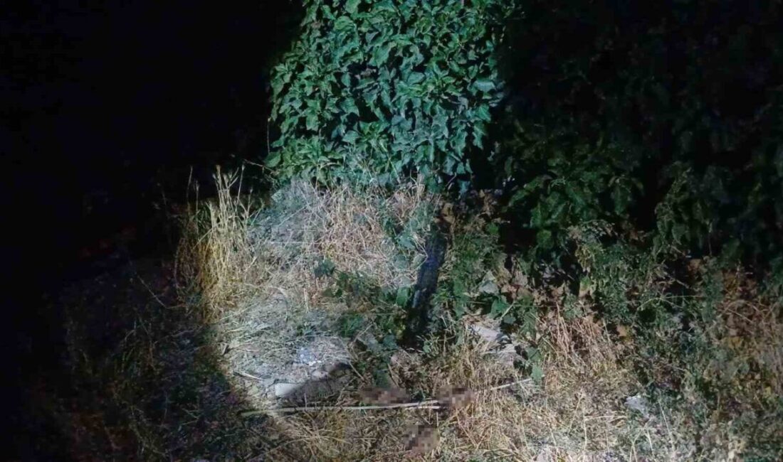 Çorum Kale Mahallesi'nde M.Y., kimliği belirsiz kişiler tarafından pompalı tüfekle