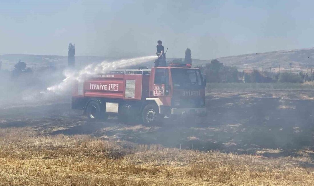 Çorum'daki bir tarlada henüz bilinmeyen bir nedenden dolayı çıkan yangın,