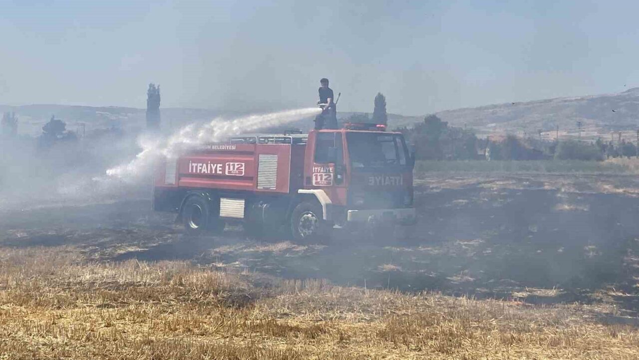 Çorum'daki bir tarlada henüz bilinmeyen bir nedenden dolayı çıkan yangın,