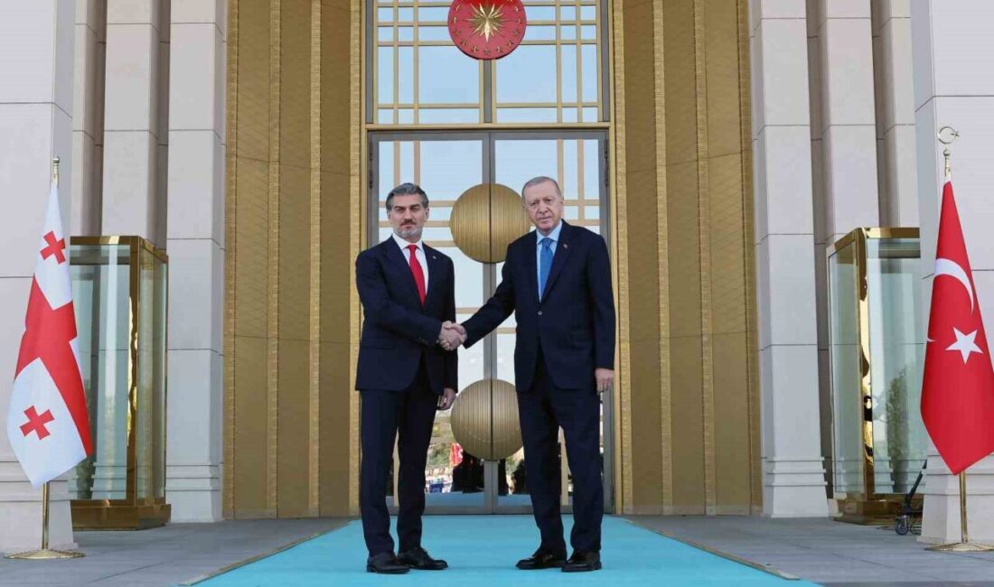 Cumhurbaşkanı Recep Tayyip Erdoğan, Gürcistan Cumhurbaşkanı Mikheil Kavelashvili’yi resmi bir