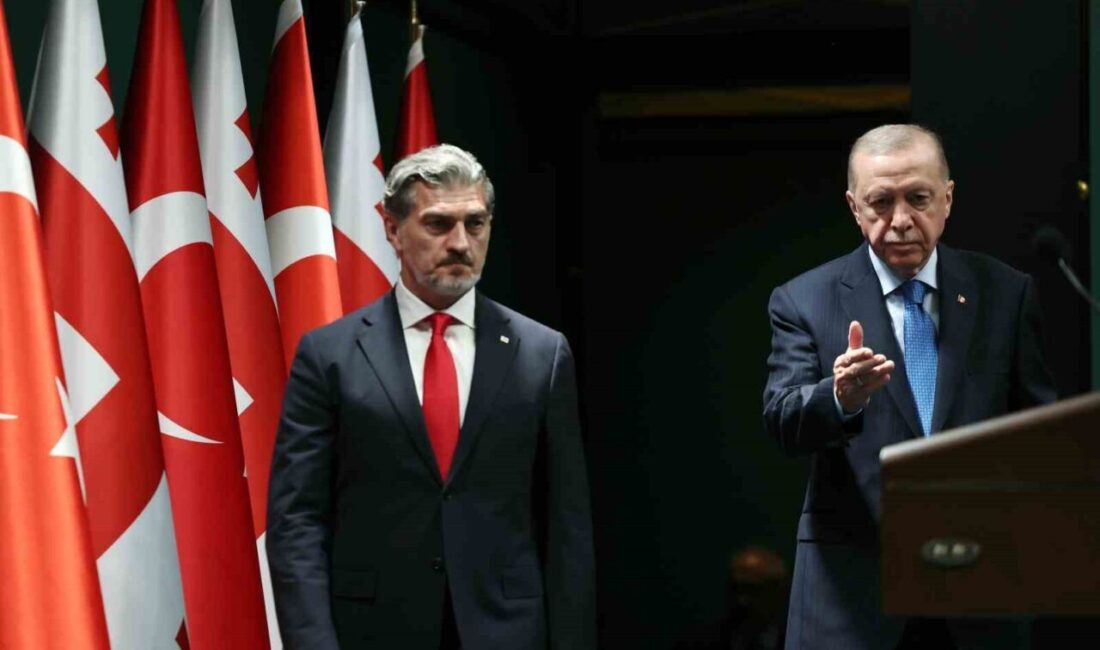 Cumhurbaşkanı Recep Tayyip Erdoğan, Gürcistan Cumhurbaşkanı Mikheil Kavelaşvili ile görüşmesinde