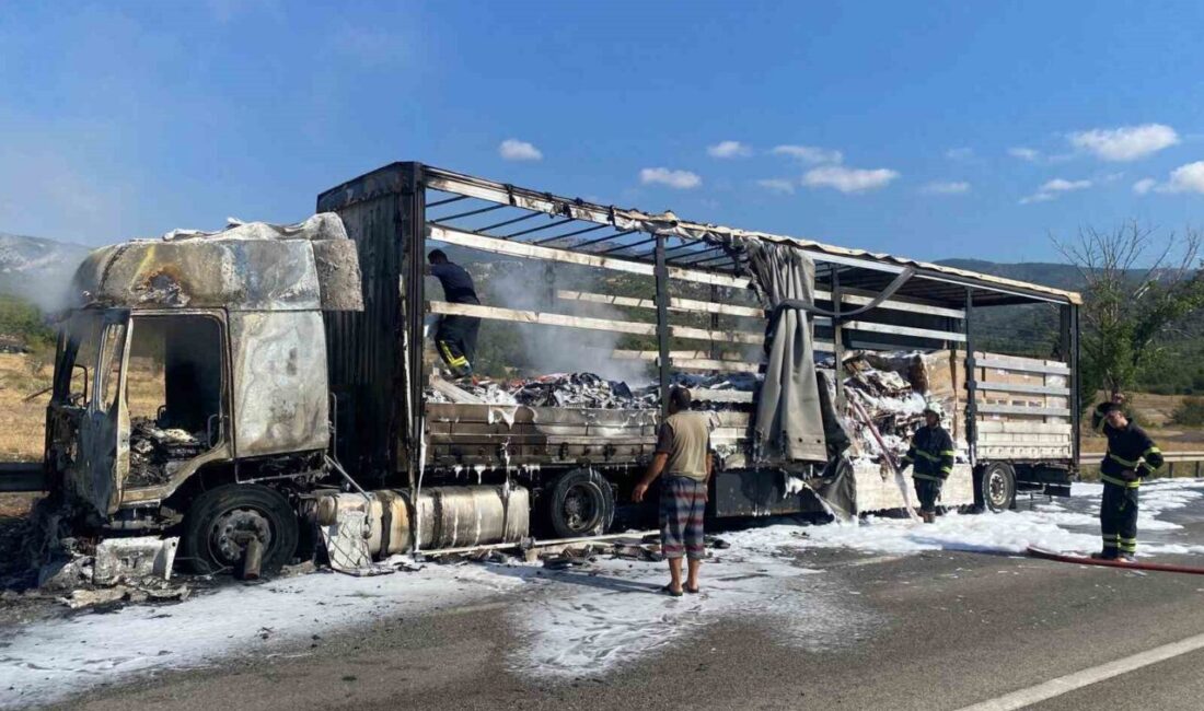 Kastamonu'nun Tosya ilçesinde Ahmad Mohammadpour'un kullandığı yabancı plakalı tırda çıkan