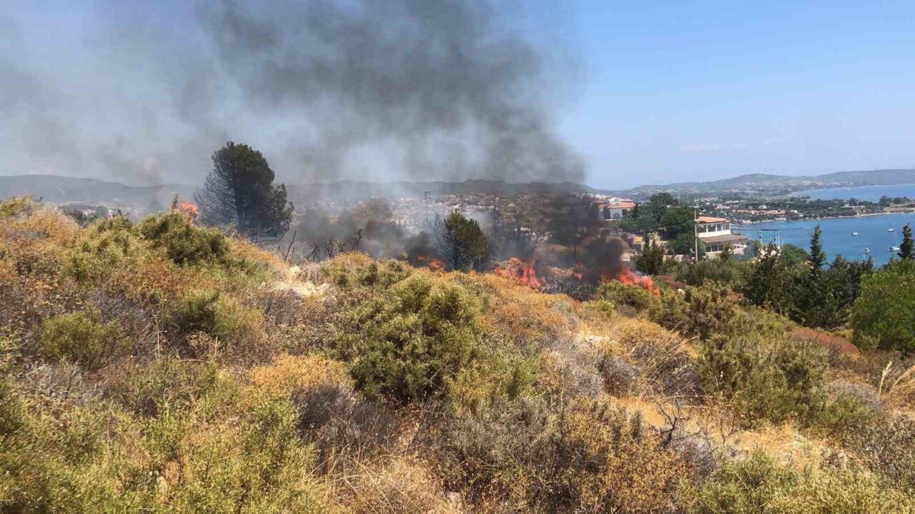 Muğla'nın Datça ilçesinde makilik alanda meydana gelen yangın, Muğla Orman