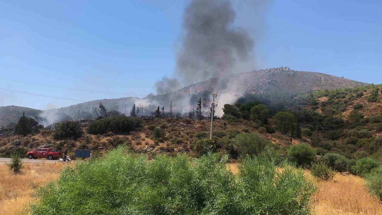Muğla’nın Datça ilçesinde, Panorama Tepesi'ndeki makilik alanda yangın çıktı. İhbar