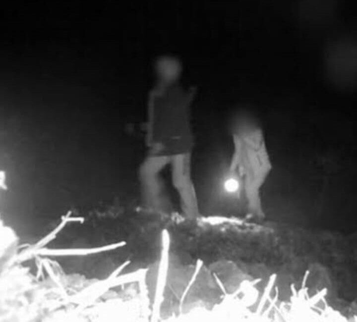 Denizli'nin Buldan ilçesinde, yaban hayatını koruma amaçlı fotokapanla tespit edilen
