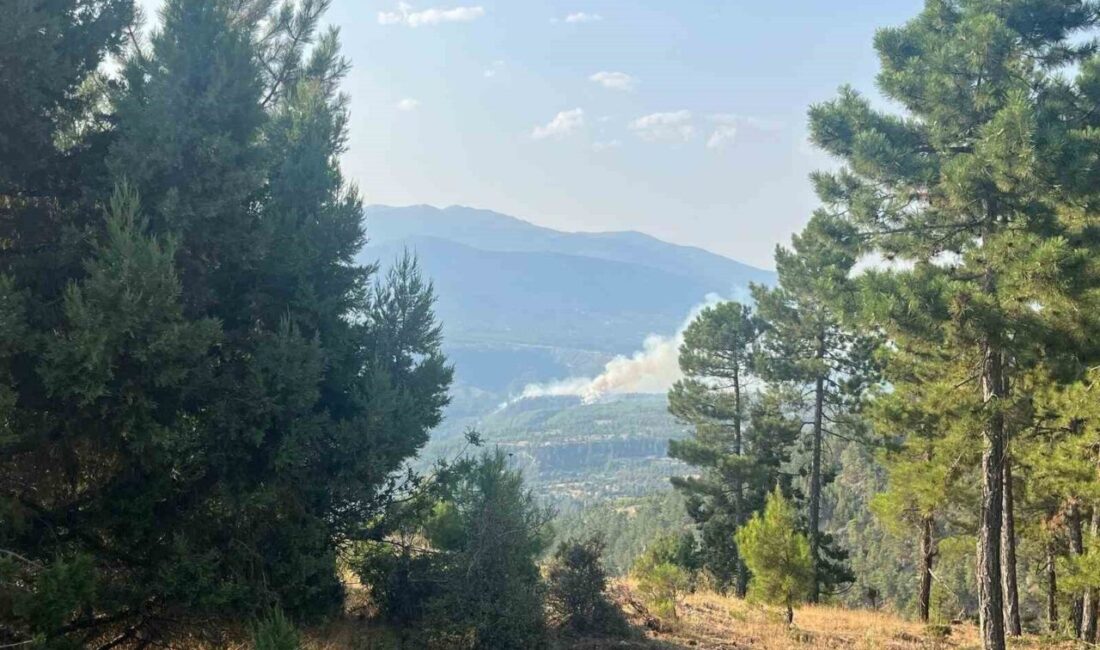 Denizli’nin Acıpayam ilçesinde, Akşar ve Gölcük mahalleleri arasında orman yangını