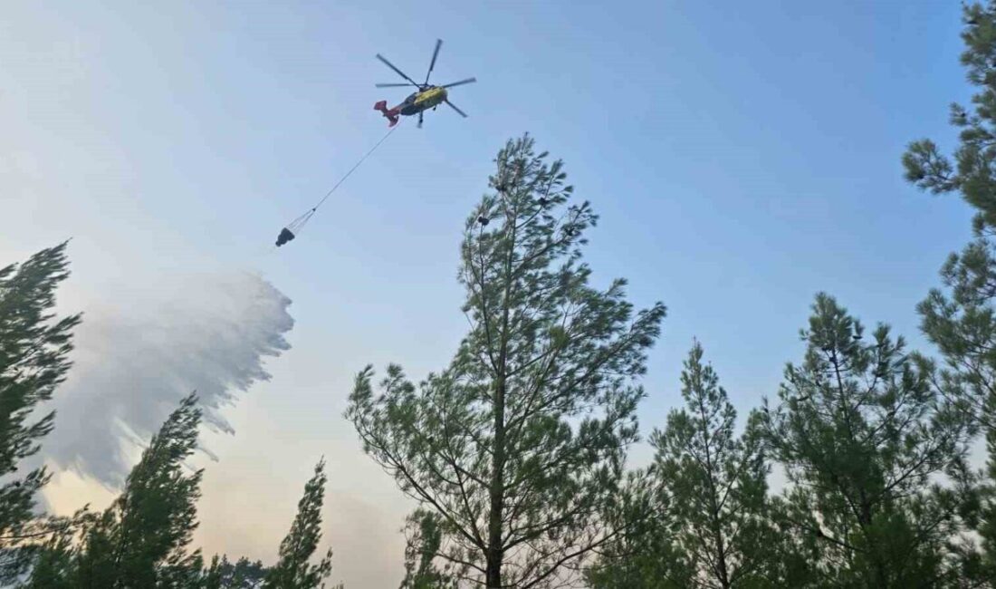 Denizli'nin Acıpayam ilçesinde, Akşar ve Gölcük mahalleleri arasındaki ormanlık alanda