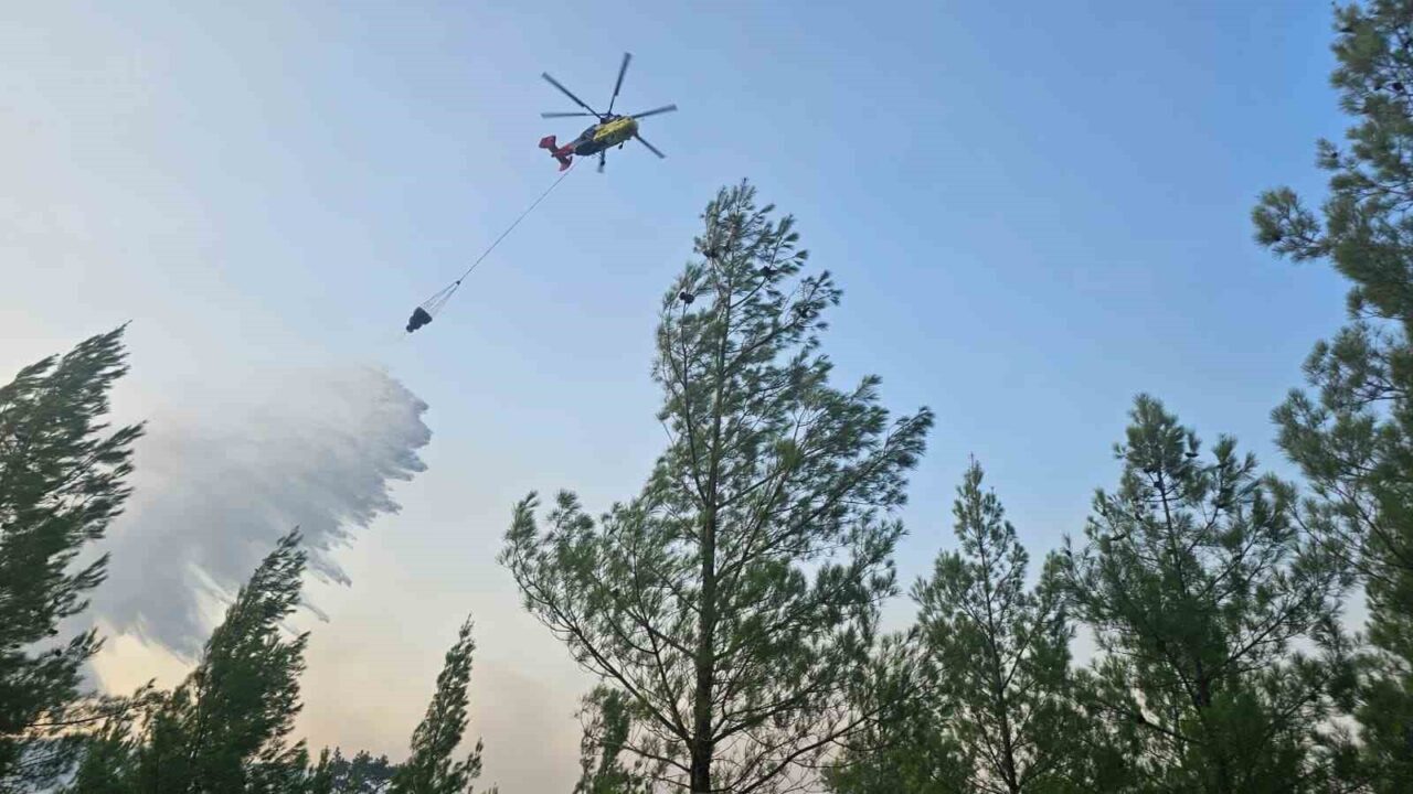 Denizli'nin Acıpayam ilçesinde, Akşar ve Gölcük mahalleleri arasındaki ormanlık alanda