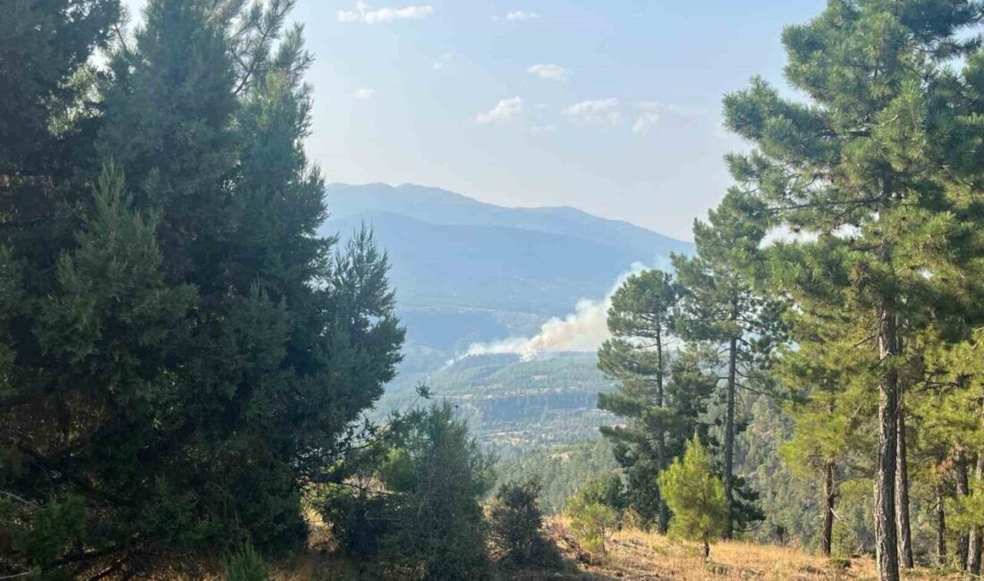 Denizli'nin Acıpayam ilçesinde, 17.00 sularında başlayan orman yangınına şiddetli rüzgara