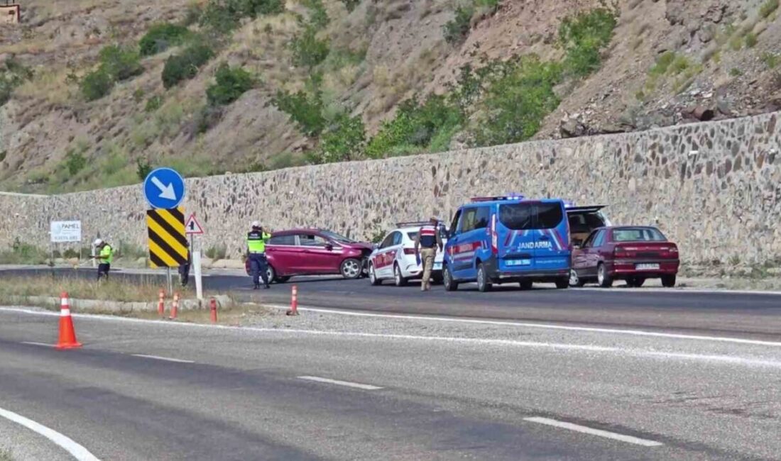 Erzurum'un Uzundere ilçesinde meydana gelen trafik kazasında, otomobil sürücüsü direksiyon