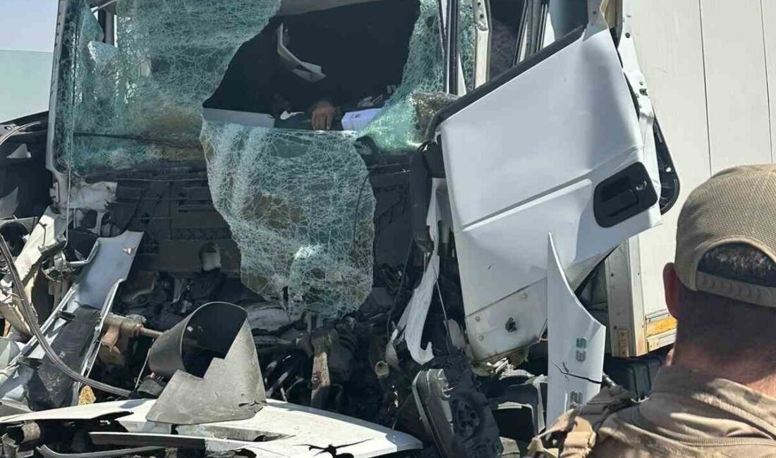 Diyarbakır’ın Silvan ilçesinde tır sürücüsü Nazmi Kahraman, seyir halindeyken saman