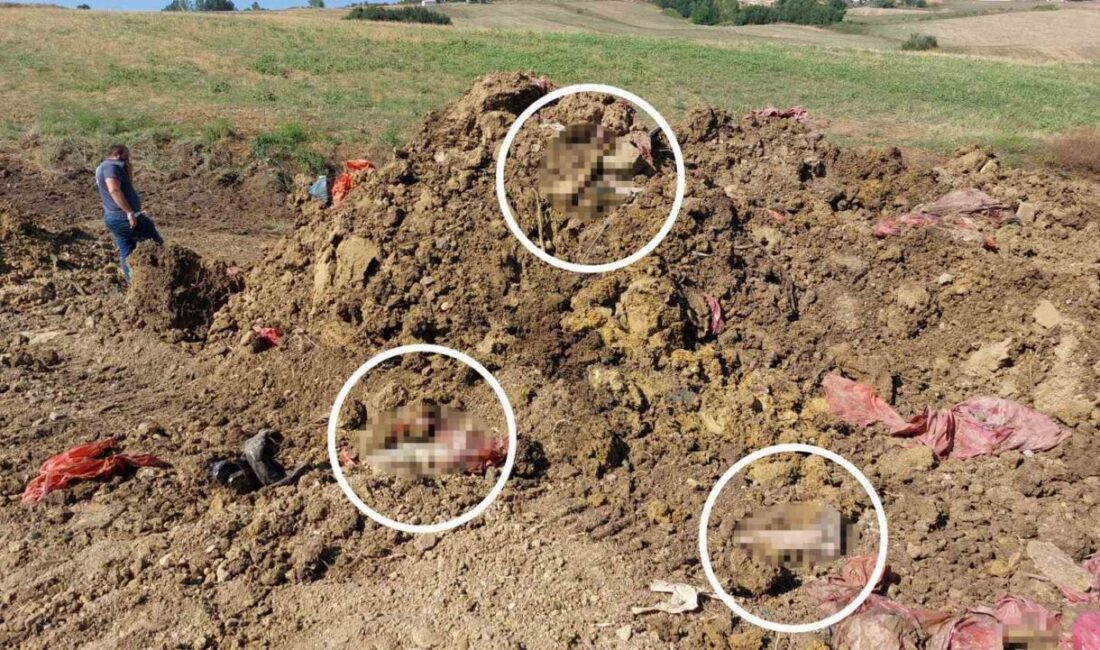 Samsun'un İlkadım ilçesindeki Derecik Mezarlığı'nda drenaj çalışmaları sırasında toprak altından
