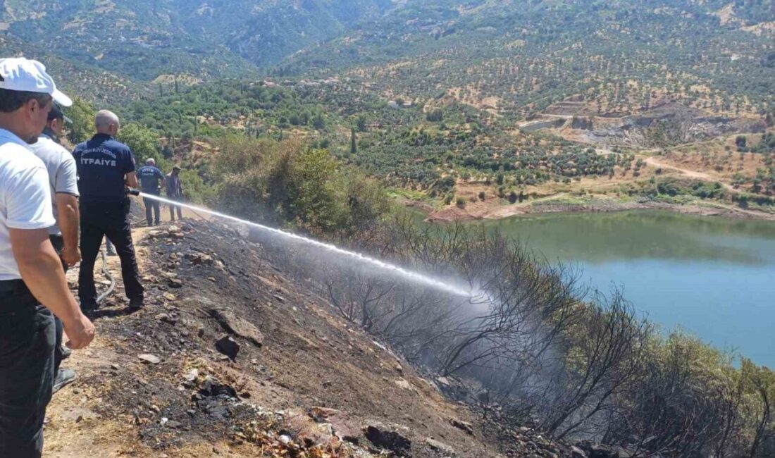 Aydın'ın Köşk İlçesi, Kırsal Başçayır mahallesinde meydana gelen yangın, vatandaşların