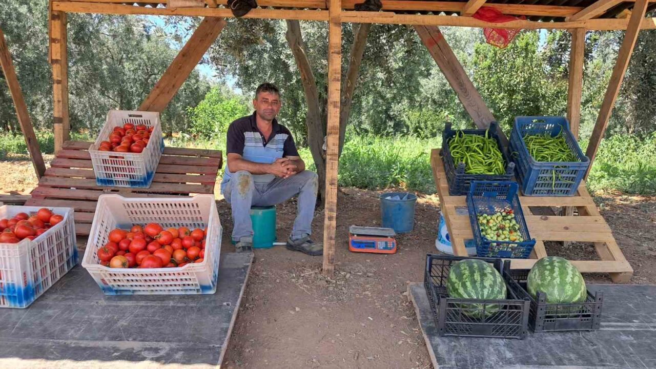 Bursa'nın İznik ilçesinde çiftçi Serkan Karatekin, tarlasında sebze ve meyve