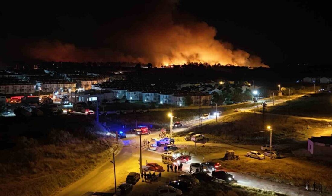 Edirne'nin Enez ilçesindeki Büyükevren köyünde meydana gelen orman yangını, 10