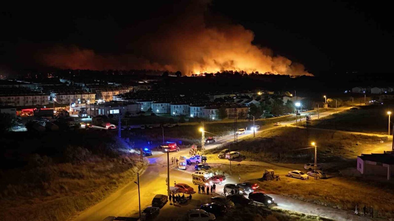 Edirne'nin Enez ilçesindeki Büyükevren köyünde meydana gelen orman yangını, 10