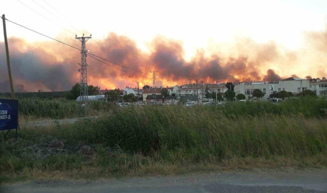 Edirne’nin Enez ilçesi Büyükevren köyü yakınındaki tarlada çıkan yangın, rüzgarın
