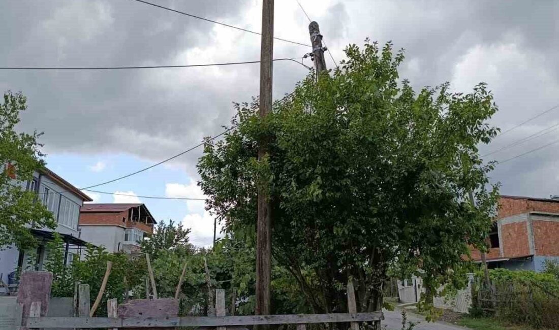 Samsun'un Çarşamba ilçesinde, İlyas Tiryaki'nin şikayetleriyle gündeme gelen eğik elektrik