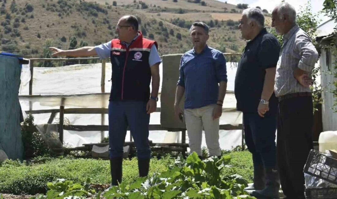 Bayburt İl Tarım ve Orman Müdürü Ebubekir Köse, Müdürlüğü ekibiyle