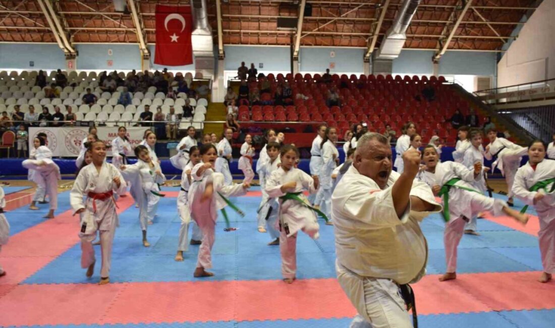 Manisa İl Emniyet Müdürlüğü'nün düzenlediği karate etkinliği, Emniyet Amiri Mehmet