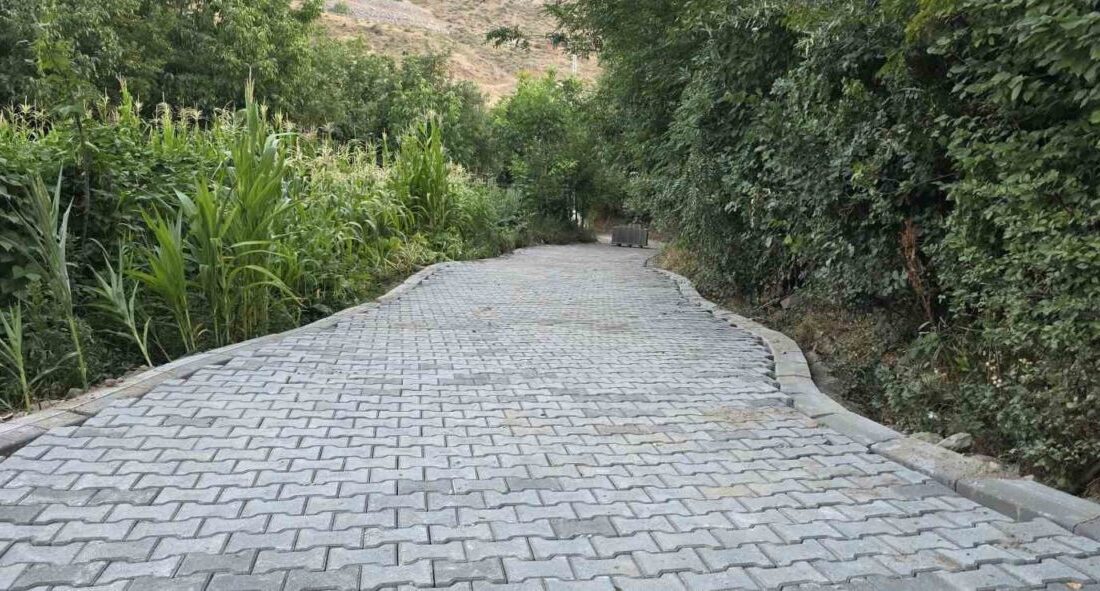 Bitlis’in Değirmenaltı köyünde, 60 yaşındaki Abidin Subaşı’nın evine ulaşımı sağlayan