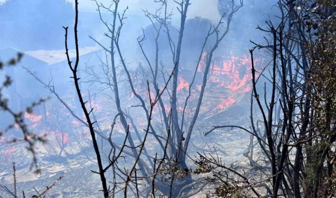 Balıkesir'in Erdek ilçesinde, Narlı Mahallesi'nde başlayan orman yangını, havadan ve