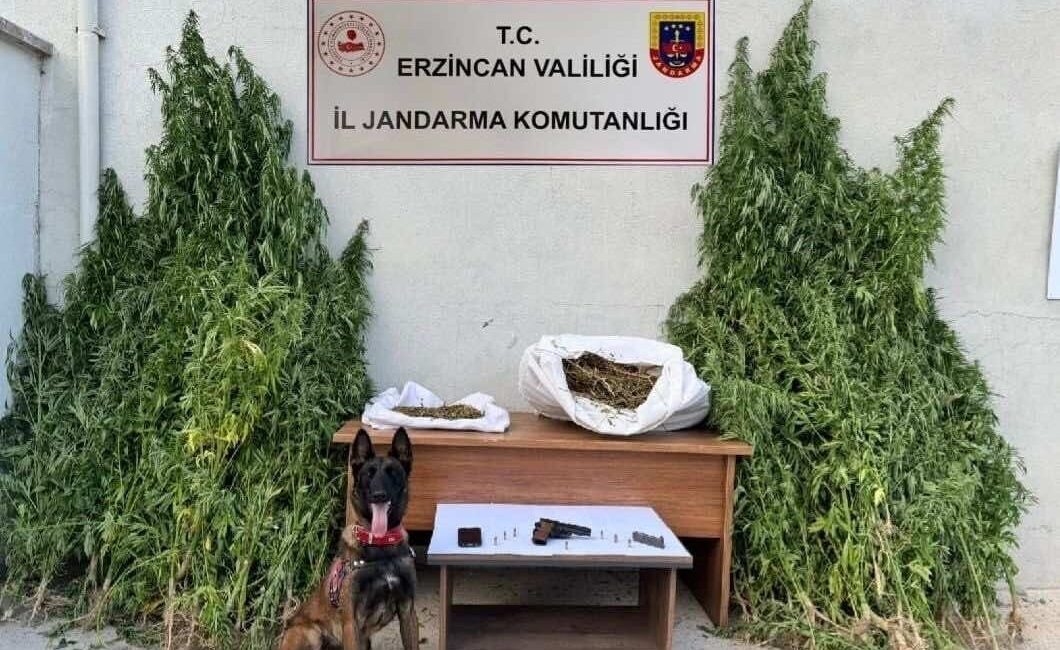 Erzincan'ın Refahiye ilçesinde jandarma, bir şüphelinin evinde uyuşturucu ile silah